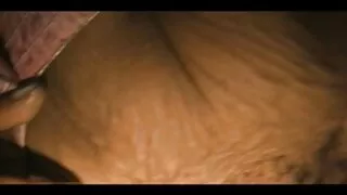 Bella sexy cuties strofinato con le loro video porno anziani e giovani fighe