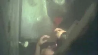 Due video porno giovani e vecchi principesse Sborrate dal cazzo di un amico sul divano